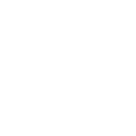 rise-logo-white